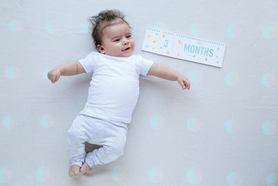 Milestone Flip Book - Wiggles Piggles  - 3