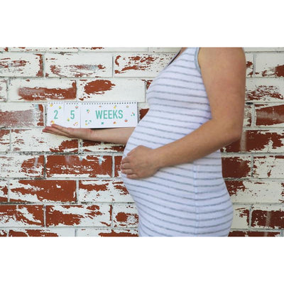 Milestone Flip Book - Wiggles Piggles  - 1
