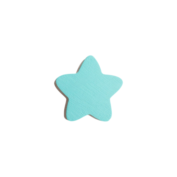 Star Wall Hook - Mint